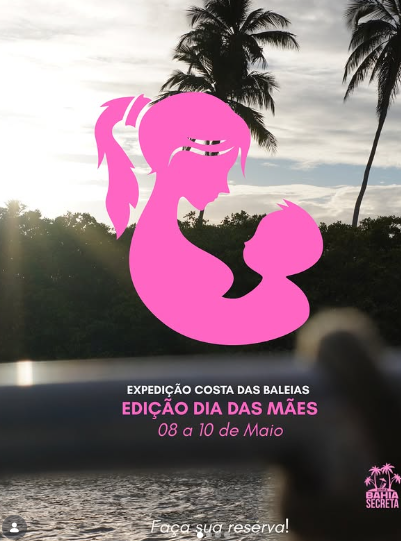 Captura de tela 2026-03-31 144236