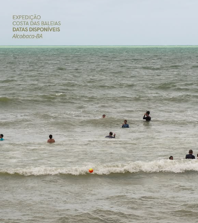 Captura de tela 2026-03-31 144446